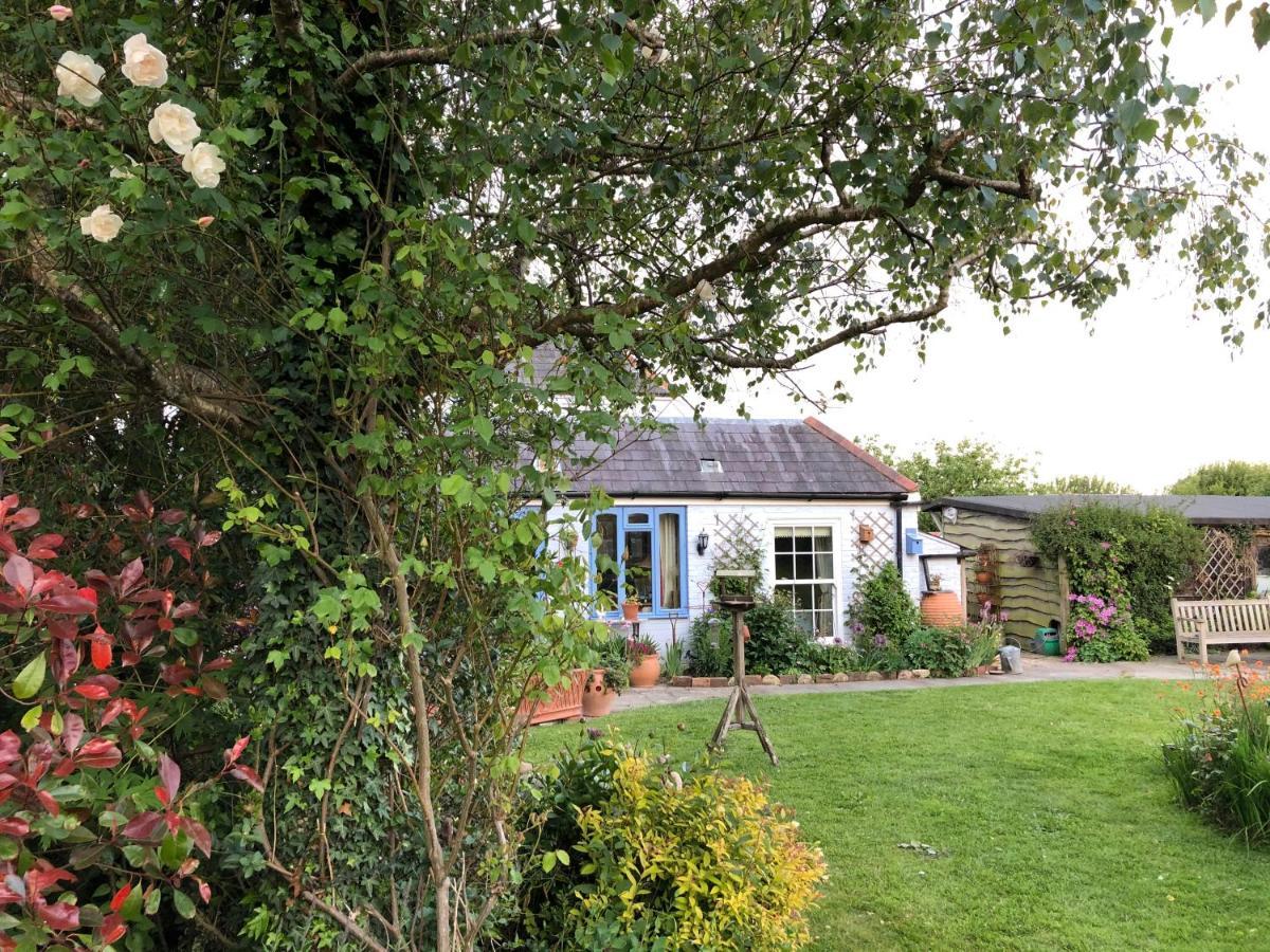 Cosy Cottage Ground Floor Bedroom Ensuite With Private Entrance Chichester Eksteriør billede