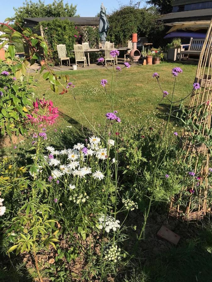 Cosy Cottage Ground Floor Bedroom Ensuite With Private Entrance Chichester Eksteriør billede